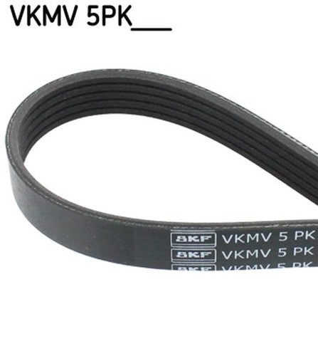 Per skf vkmv - cinghie, in